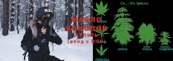 твердый Заводоуковск