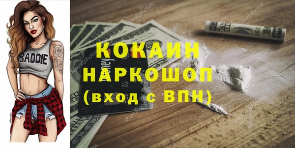 твердый Заводоуковск