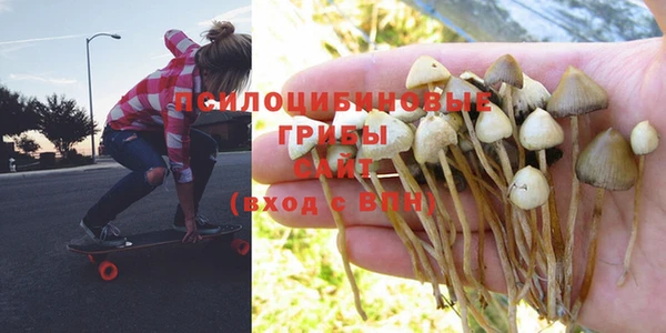 спиды Заволжье